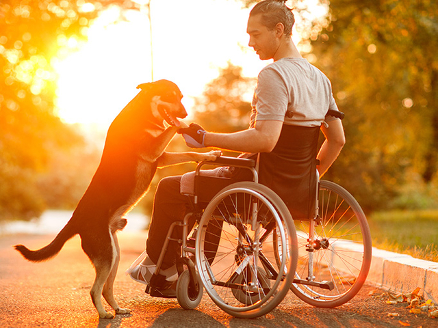 movilidad en silla de ruedas